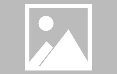 宝威体育入口-雄鹿队核心球员出色发挥，带领球队赢得胜利的简单介绍